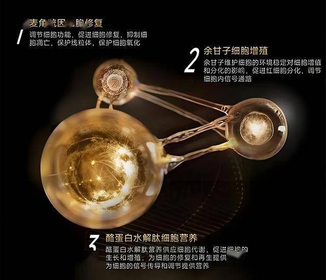 蓝莓市场外汇我州举行“粽香端午· 传情布依”系列活动